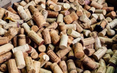 China’s Wine Market: Trends in Appetite